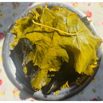 TAZE SALAMURA YAPRAK  1 KG