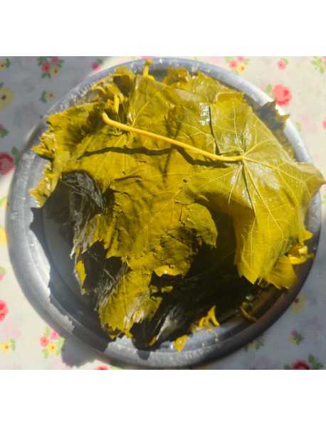 TAZE SALAMURA YAPRAK  1 KG