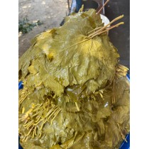 TAZE SALAMURA YAPRAK 1KG TAZE SALAMURA YAPRAK 1KG