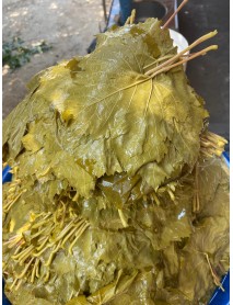 TAZE SALAMURA YAPRAK  1KG